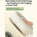 Rechargeable Steam Hair Brush – Detangling & Hair Care Brush with Oil Treatment